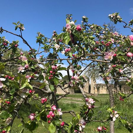 Magnolia Tree House Appartamento Glastonbury Esterno foto