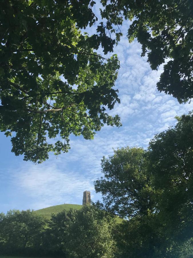 Magnolia Tree House Appartamento Glastonbury Esterno foto